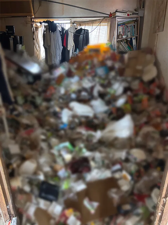 不用品回収 before