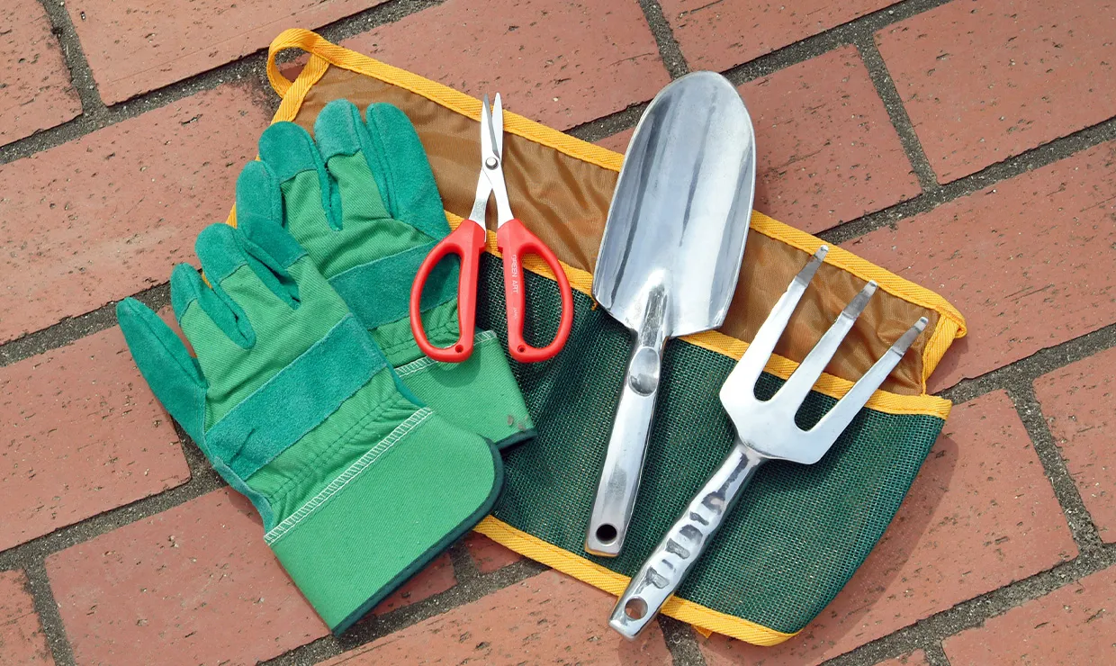 植木屋さんに植え替えサービスを依頼する際の完全ガイド