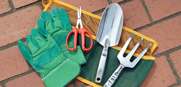 植木屋さんに植え替えサービスを依頼する際の完全ガイド