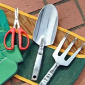 植木屋さんに植え替えサービスを依頼する際の完全ガイド