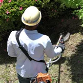 植木屋さんに草刈りサービスを依頼する際の完全ガイド