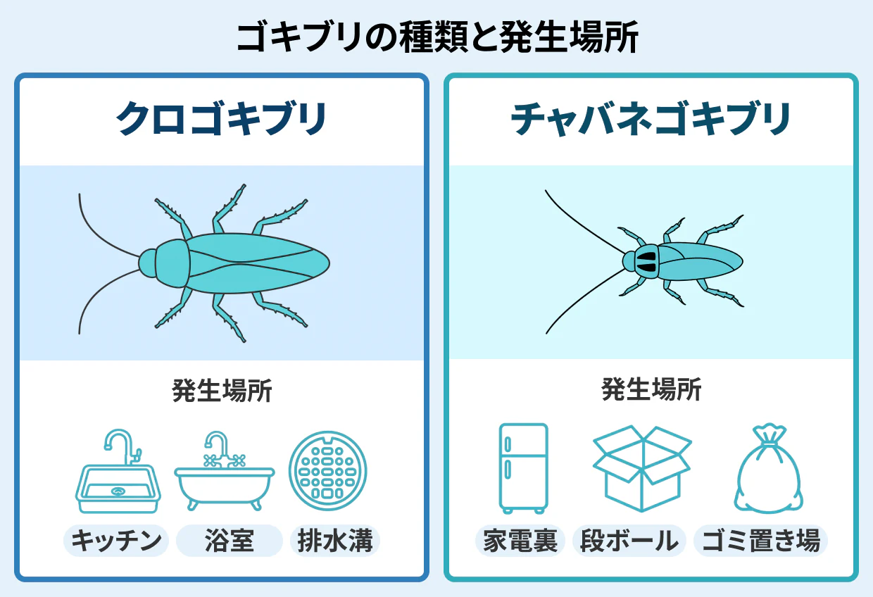 クロゴキブリ・チャバネゴキブリの違いと発生場所
