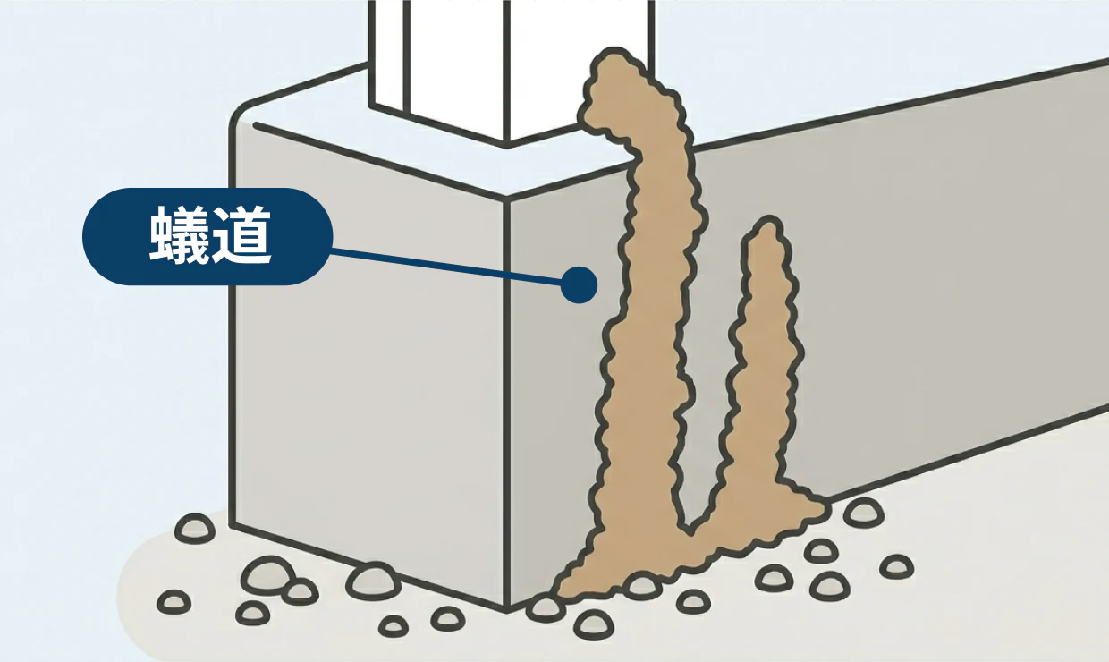 床下に作られた蟻道 土でできたトンネル状の通路